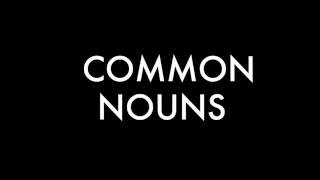 The Common Noun Song [upl. by Olympie217]