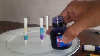 chemistry Experiment class 12 । lyophilic sol colloidal solution of starch [upl. by Elvyn]