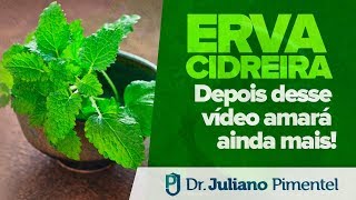 ERVA CIDREIRA DEPOIS DESTE VÍDEO VOCÊ AMARÁ AINDA MAIS [upl. by Fokos553]