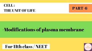 Modifications of plasma membrane I Part 6 I CELL The unit of life [upl. by Ragan92]