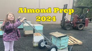 Almond Prep 2024 [upl. by Lanza]