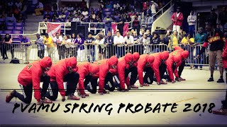 PVAMU Probate Spring 2018 [upl. by Vilberg57]