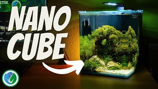 Erschaffe ein AquarienParadies in nur 5 Schritten  Nano Cube von Dennerle einrichten [upl. by Leyes137]