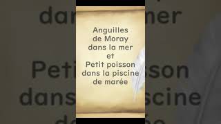 Anguilles de Moray dans la mer et Petit poisson dans la piscine de marée  Huhito Fables Vol25 [upl. by Esaele461]