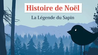 Histoire De Noël  La Légende du Sapin dessin animé en Français [upl. by Fiore]