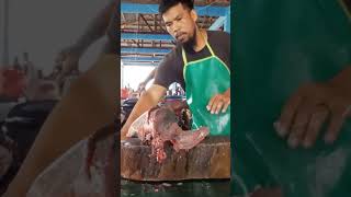 Fresh tuna fillet shorts food reels ajibnarimanfyp fishcutting tunafishcutting satisfying [upl. by Attenaz661]