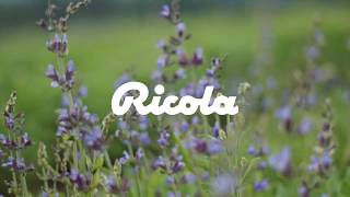 إعلان ريكولا للشرق الاوسط  AE  RICOLA [upl. by Aluk]