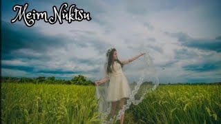 MEIM NÜKTSÜAo Love song Aküm M Jamir lyrics video Tia Imsong [upl. by Armalla123]