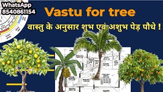 Vastu tips for plants  वास्तु के अनुसार पेड़ पौधे किस दिशा में लगाएं bananamangolemonpipal tree [upl. by Arodaeht]