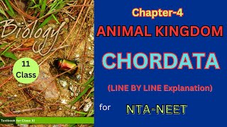 Class 11 Animal Kingdom chordates theory ncertbiologyharunsir Harunbiozone [upl. by Amalbergas366]