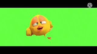 Where is chicky  Donde esta chicky tiktok shorts [upl. by Dannel]