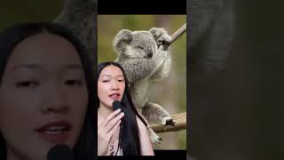 សត្វខ្ជិលបំផុតក្នុងលោក  the most laziest animal in the world [upl. by Liagaba]