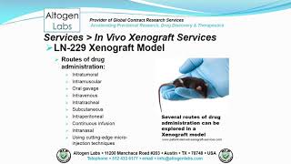 LN 229 Brain Cancer Xenograft Service [upl. by Ylrebnik]