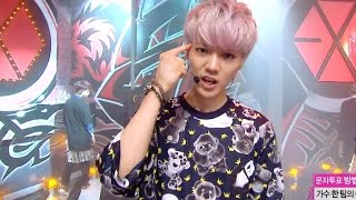 【TVPP】EXO  Growl 엑소  으르렁  Comeback Stage Show Music Core Live [upl. by Siravat]