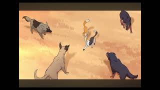 Warrior cats Swiftpaw Tribute [upl. by Bittner]