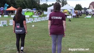 Qualifications – Kristina Surlina  Mind the Dog Seven Up  Border Collie – AUSTRIA [upl. by Polinski615]