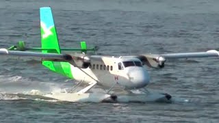 Twin Otter Seaplane Landing [upl. by Anyala]