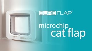 Setting Up Your SureFlap Microchip Cat Flap [upl. by Lynnet618]