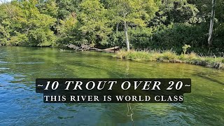 10 trout between 20 and 25 inches  an incredible fly fishing trip [upl. by Renraw]