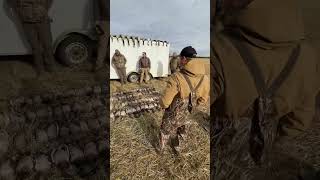 One heck of a morning waterfowl duckhunting [upl. by Annahgiel]