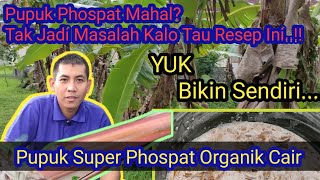 Cara Mudah dan Murah Membuat Pupuk Super Phospat Organik Cair dari Gedebog Pisang [upl. by Giliana]