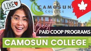 CAMOSUN COLLEGE GET PAID WHILE STUDYING  BEST COOP PROGRAMS for international students in Canada [upl. by Naej761]