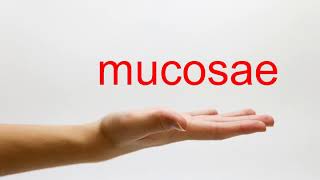 How to Pronounce mucosae  American English [upl. by Vashti]