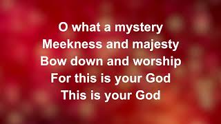 Meekness And Majesty  Worship Lyric Videos Preview [upl. by Georglana]