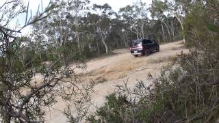 Delica D5 off road in Charmhaven Australia [upl. by Calloway]