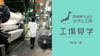 【工場見学】愛媛県今治のタオル工場！工場見学 PART3 ～織機編～ [upl. by Nauqel]