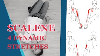 Scalene Muscles Stretch How To Use Post Isometric Relaxation PIR [upl. by Uttasta]