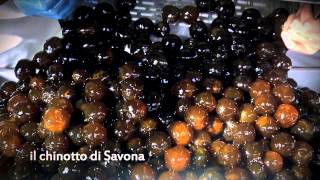 IL CHINOTTO DI SAVONA [upl. by Claudina]