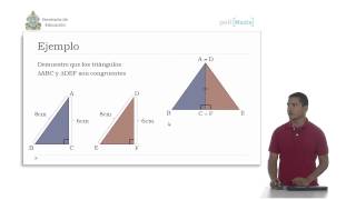 Ibertel Honduras Matemáticas 8º 51 Geometría Triángulos rect Criterios de congruencia [upl. by Eatnahc]