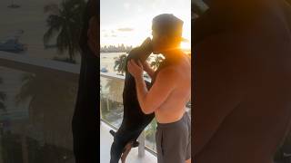 Doberman and Dad on the Balcony at Sunset dobermanpinscher dobermandad balcony sunset miami [upl. by Eidahs]