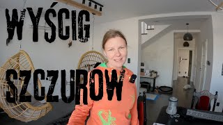 Wyścig szczurów w pracy Polskie realia [upl. by Becca445]