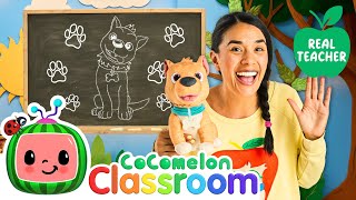 Animal Sounds and Letters BINGO  Ms Appleberry  CoComelon Classroom Learning for Kids [upl. by Wonacott185]