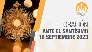 Adoración al Santísimo Sábado 16 Septiembre de 2023 Padre Wilson Grajales 🙏 Ora Con Dios [upl. by Agamemnon]