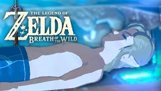 LE RÉVEIL DE LINK  Zelda Breath of the Wild 1 [upl. by Eniahs]