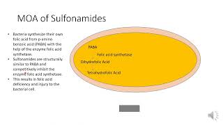 Mechanism of action of Sulfonamides [upl. by Fiorenze]