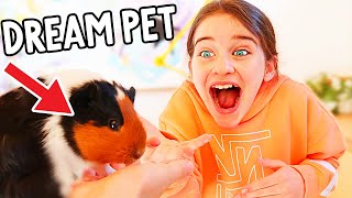 NAZ FINDS OUT SHE GETS A GUINEA PIG FOREVER wthe Norris Nuts [upl. by Ojyma]