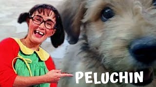 PELUCHIN chin chin VIDEO [upl. by Aniraz191]