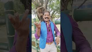 Parimalinchu Punnamilo Song Youtube shorts Krishnam Raju Jayapradha [upl. by Riamo]