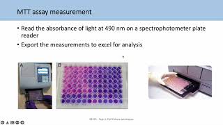 BE553 Topic 2 Tutorial 2 Analysing viability assays and IC50s [upl. by Huai712]