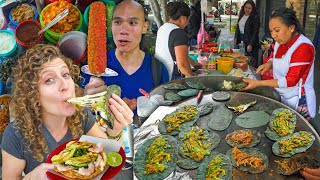 HUGE Mexican Street Food Tour in Mexico City  TOSTADAS TACOS TAMALES  MORE STREET FOOD IN CDMX [upl. by Gwenora]