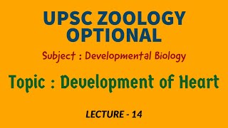 UPSC ZOOLOGY  Developmental Biology Lecture  14  Development of Heart  IAS  IFS  Dr RK Sir [upl. by Zebulen266]