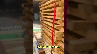 Tips About Kiln Drying  White Oak [upl. by Kceb15]