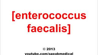 Pronounce Enterococcus Faecalis SpeakMedical [upl. by Yor]