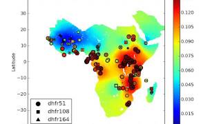 Prevalence of antimalarial drug resistance markers dhfr gene for sulphadoxine pyrimethamine [upl. by Etnoved500]