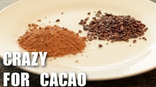 Cacao  Superfood  Healthy Recipes [upl. by Haberman927]