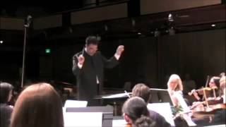 Verdi String Symphony 2C First Movement [upl. by Ellatsirhc823]